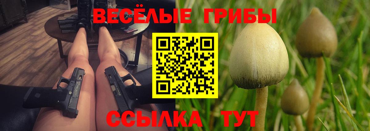 Стрежевой  Галлюциногенные грибы Cubensis  Вход с VPN  сколько стоит  Псилоцибиновые грибы GOLDEN TEACHER 